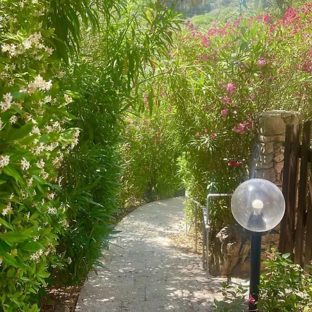 Apartman Oasi Calacapra - Palau Costa Smeralda Proiettore