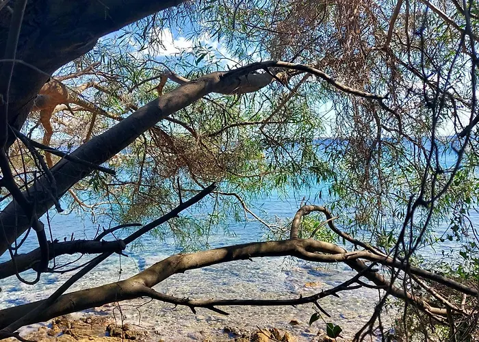 Oasi Calacapra - Palau Costa Smeralda Appartamento Proiettore